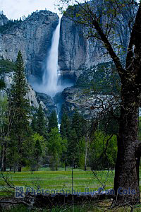 Yosemite - Upper and Lower Yosemite Falls from across the valley