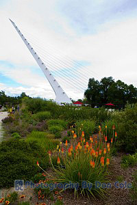 Sundial Footbridge from Turtle Bay Discovery gardens