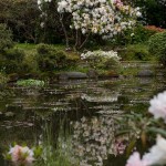 Shore Acres Garden Pond