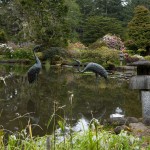 Shore Acres Garden Pond