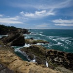 Shore Acres Coastline