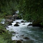 Siskiyou National Forest