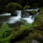 Elk Creek - Siskiyou National Forest