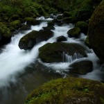 Elk Creek - Siskiyou National Forest