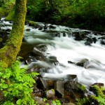 Below Bridalveil Falls on Hwy 30, OR