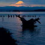 Mount Hood over Columbia River near Vancouver, WA