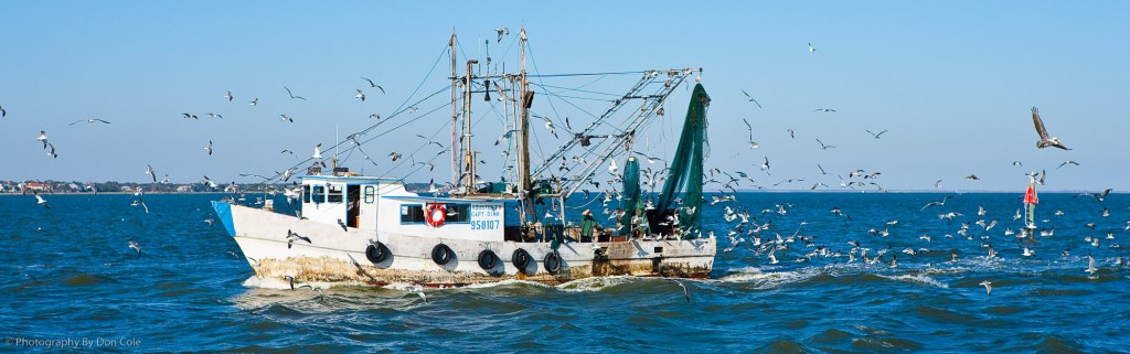 Fishing Boat