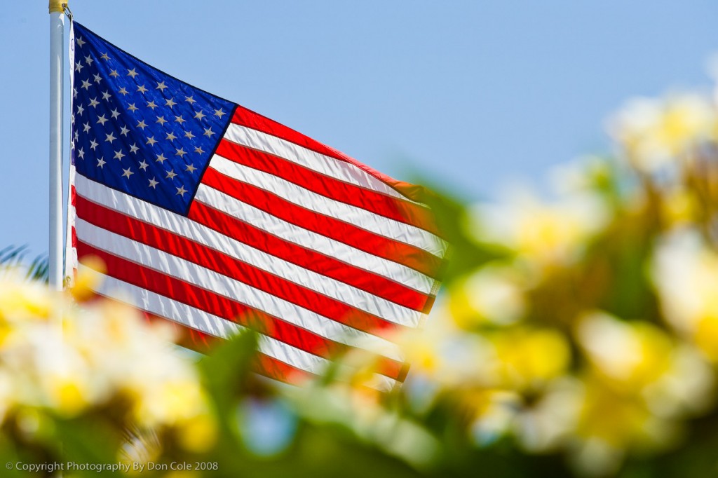 American Flag over flowers