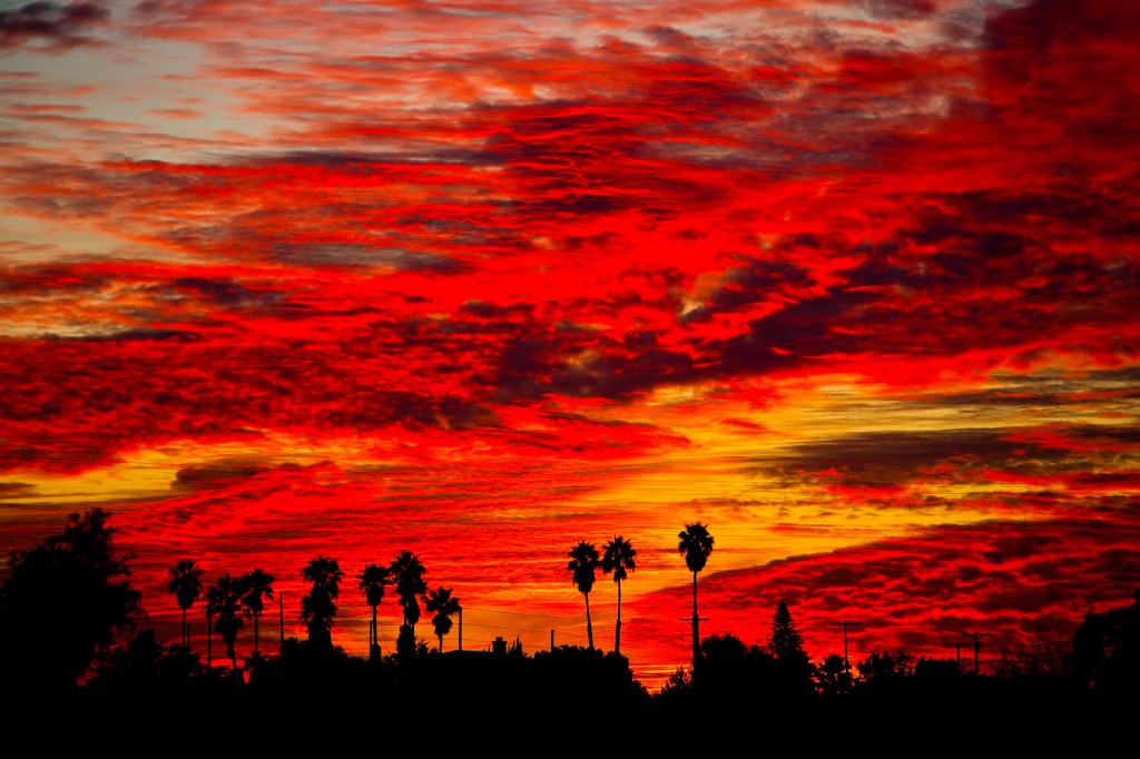 San Diego Sunset