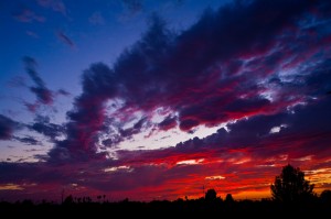 IMG_4451